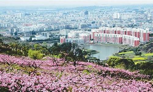 成都市龙泉驿区今天天气_成都龙泉驿区明天天气预报