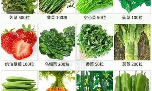 广东这季节适合种什么菜_广东天气种什么菜最快